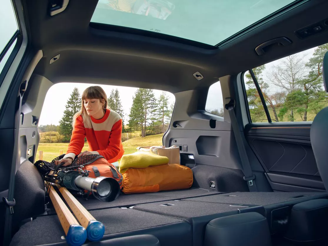 Hình minh họa: Khoang hành lý